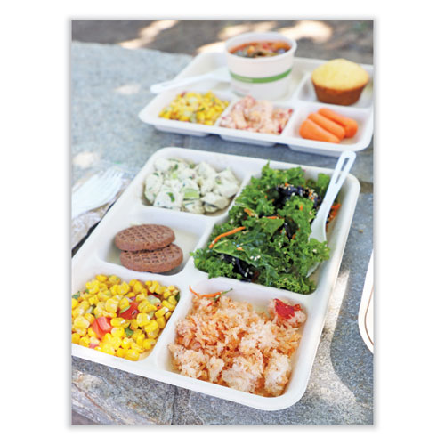 Image of World Centric® Fiber Trays, School Tray, 5-Compartments, 8.5 X 10.5 X 1, Natural, Paper, 400/Carton