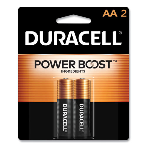 Power Boost CopperTop Alkaline AA Batteries, 2/Pack