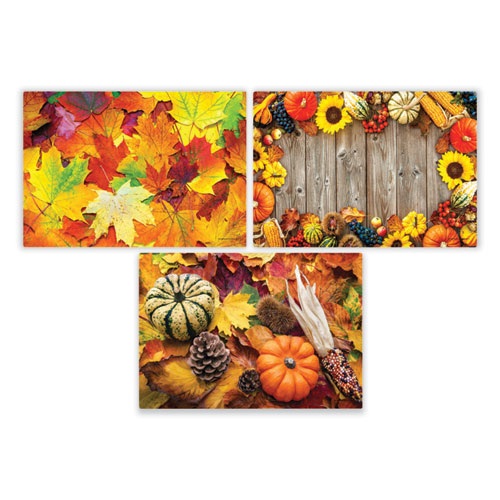 Autumn Days Multi-Pack Placemats, 10 x 14, Three Different Designs, 1,000/Carton