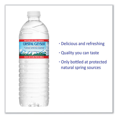 Natural Alpine Spring Water, 16.9 oz Bottle, 24/Carton