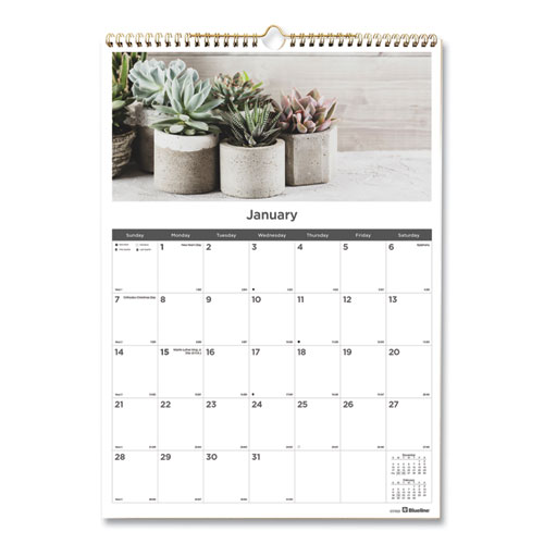 Blueline® 12-Month Wall Calendar, Succulent Plants Photography, 12 X 17, White/Multicolor Sheets, 12-Month (Jan To Dec): 2024