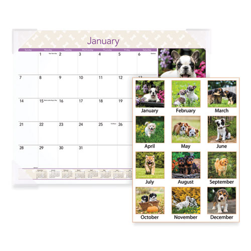 AT-A-GLANCE® Puppies Monthly Desk Pad Calendar, Puppies Photography, 22 x 17, White Sheets, Clear Corners, 12-Month (Jan to Dec): 2024