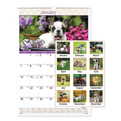 Puppies+Monthly+Wall+Calendar%2C+Puppies+Photography%2C+15.5+x+22.75%2C+White%2FMulticolor+Sheets%2C+12-Month+%28Jan+to+Dec%29%3A+2024