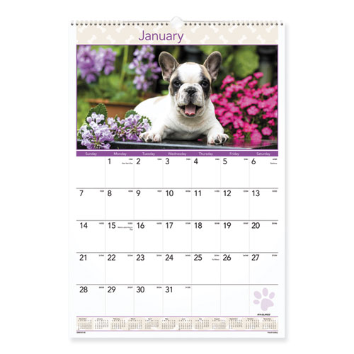 Image of At-A-Glance® Puppies Monthly Wall Calendar, Puppies Photography, 15.5 X 22.75, White/Multicolor Sheets, 12-Month (Jan To Dec): 2024