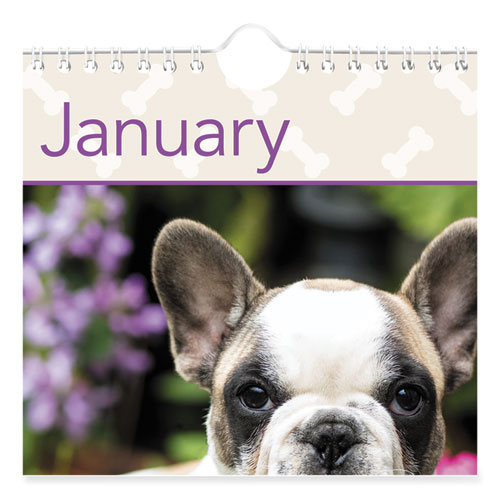 Image of At-A-Glance® Puppies Monthly Wall Calendar, Puppies Photography, 15.5 X 22.75, White/Multicolor Sheets, 12-Month (Jan To Dec): 2024