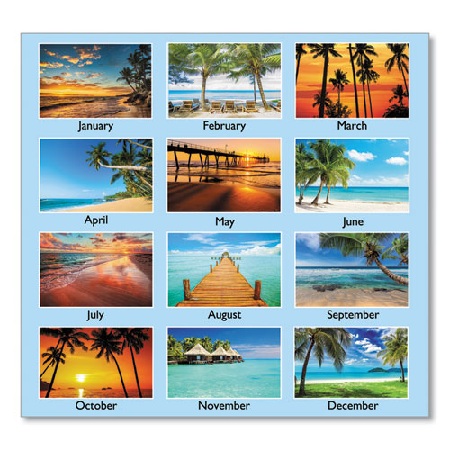 Image of At-A-Glance® Tropical Escape Wall Calendar, Tropical Escape Photography, 15 X 12, Pale Blue/Multicolor Sheets, 12-Month (Jan To Dec): 2024