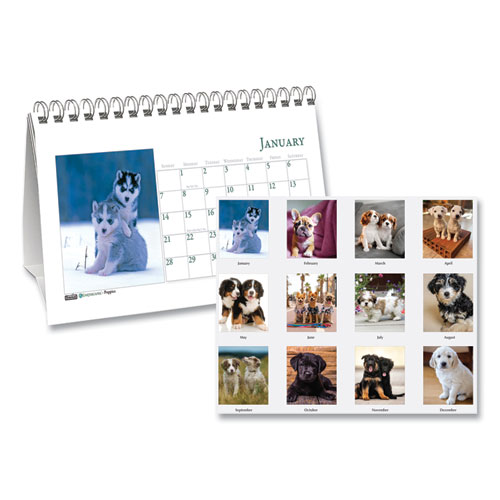 House of Doolittle™ Earthscapes Recycled Desk Tent Monthly Calendar, Puppies Photography, 8.5 x 4.5, White Sheets, 12-Month (Jan to Dec): 2024