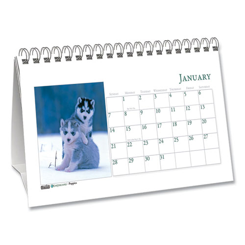 Earthscapes Recycled Desk Tent Monthly Calendar, Puppies Photography, 8.5 x 4.5, White Sheets, 12-Month (Jan to Dec): 2024