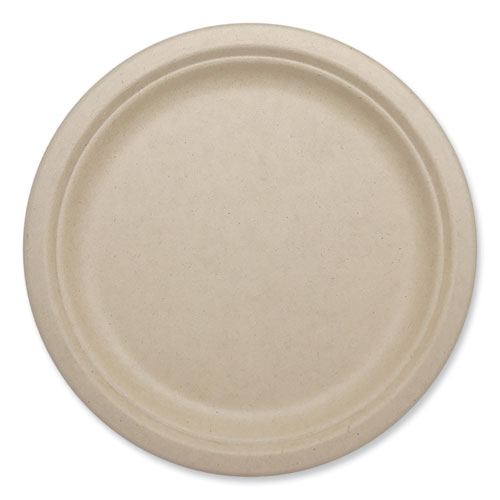 Image of World Centric® Fiber Plates, Plate, 10.1" Diameter, Natural, 800/Carton