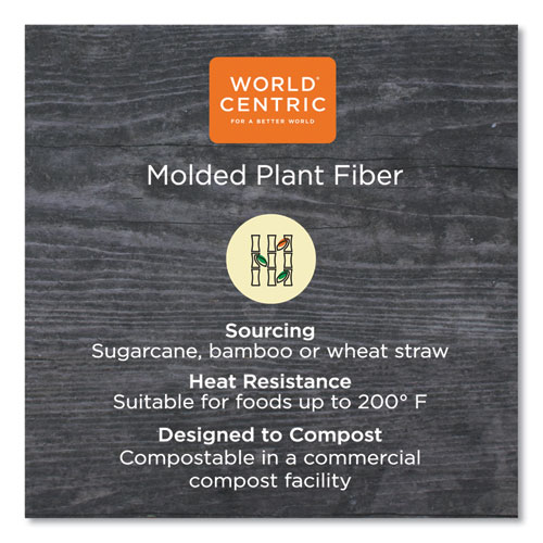 Image of World Centric® Fiber Containers, 8.7 X 6.5 X 2.1, Natural, Paper, 400/Carton