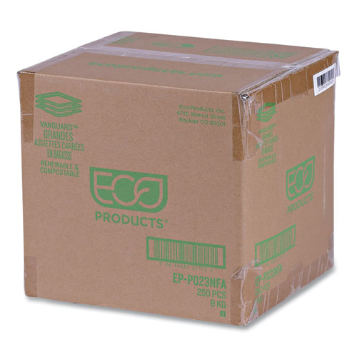 Vanguard Renewable and Compostable Sugarcane Plates, 10 x 10, White, 250/Carton