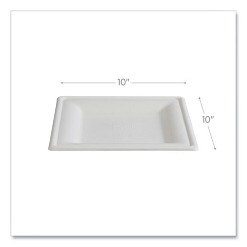 Vanguard Renewable and Compostable Sugarcane Plates, 10 x 10, White, 250/Carton