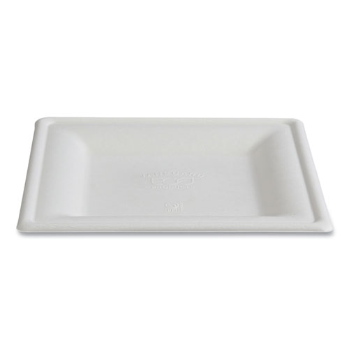 Vanguard Renewable and Compostable Sugarcane Plates, 10 x 10, White, 250/Carton
