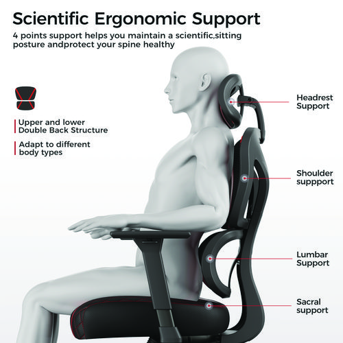 Norn Ergonomic Chair, Supports Up to 275 lb, 18.11" to 22.04" Seat Height, Black/Red Mesh Seat/Back, Black Base