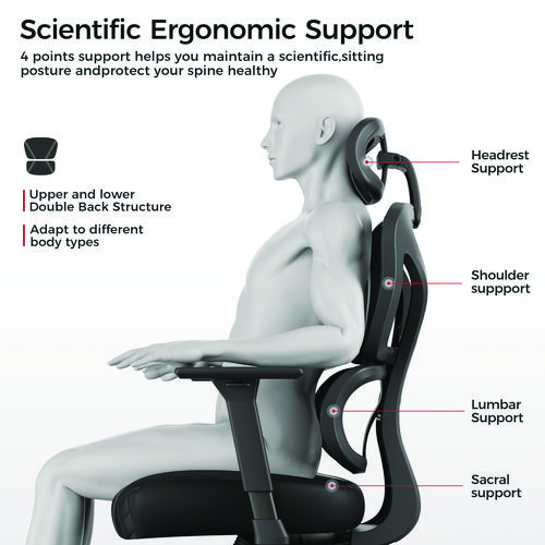 Norn Ergonomic Chair, Supports Up to 275 lb, 18.11" to 22.04" Seat Height, Black/Gray Mesh Seat/Back, Black Base