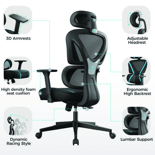 Norn Ergonomic Chair, Supports Up to 275 lb, 18.11" to 22.04" Seat Height, Black/Blue Mesh Seat/Back, Black Base