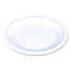 PLATE,12" PLATTER,NTWH