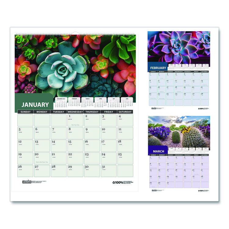 Recycled Succulent and Cacti Wall Calendar, 14 x 11, Multicolor Sheets, 12-Month (Jan-Dec): 2026
