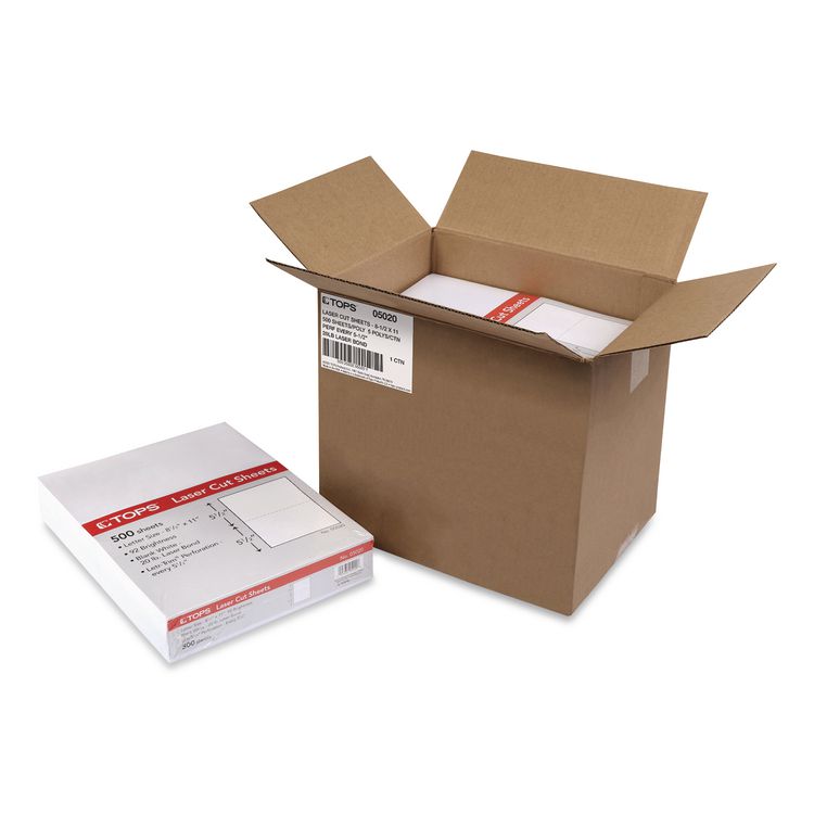 Blank Sheets for 2-Up W-2/1099 Tax Forms, Perforated at 5.5, 84 Bright, 20 lb Bond, 8.5 x 11, 500 Sheets/Ream, 5 Reams/Carton