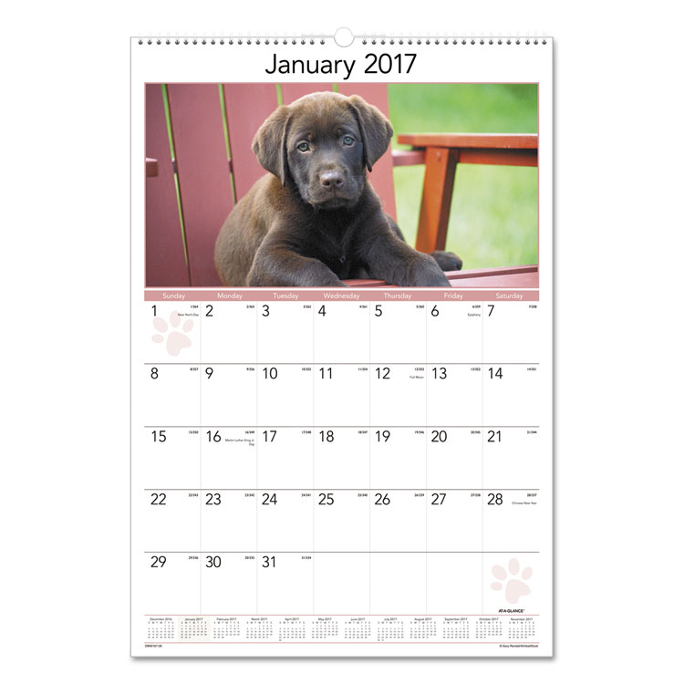 Picture of Puppies Monthly Wall Calendar, 15 1/2 x 22 3/4