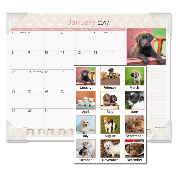 Picture of Puppies Monthly Desk Pad Calendar, 22 x 17