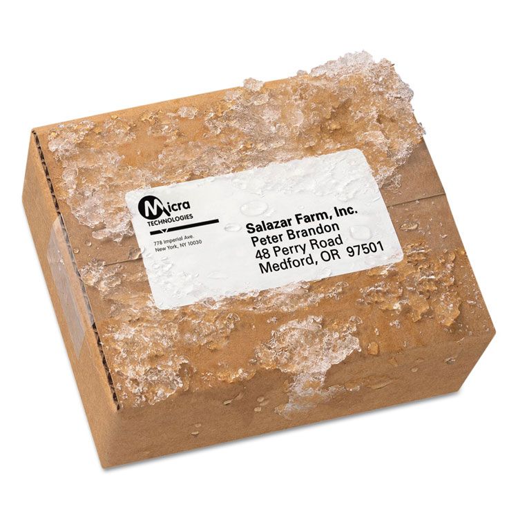 Picture of Weatherproof Durable Mailing Labels With Trueblock Technology, 2x4, White, 5000
