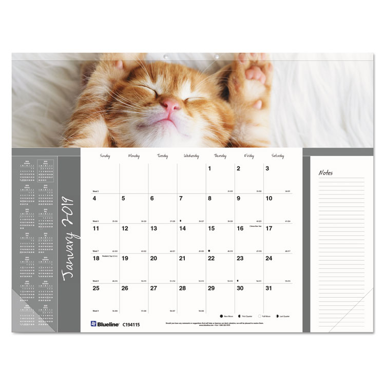 Picture of PETS COLLECTION MONTHLY DESK PAD, 22 X 17, FURRY KITTENS, Current Year