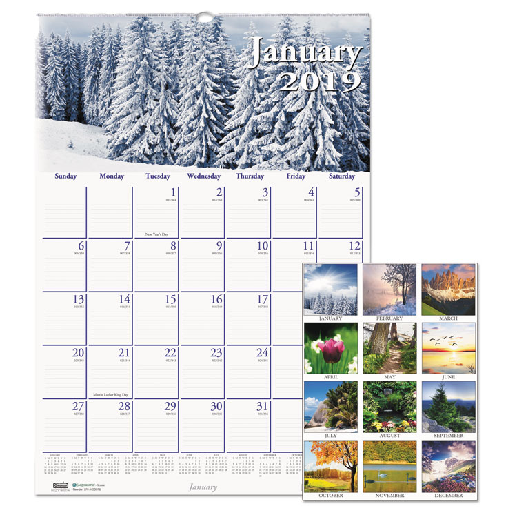 Picture of RECYCLED SCENIC BEAUTY MONTHLY WALL CALENDAR, 12 X 16 1/2, Current Year