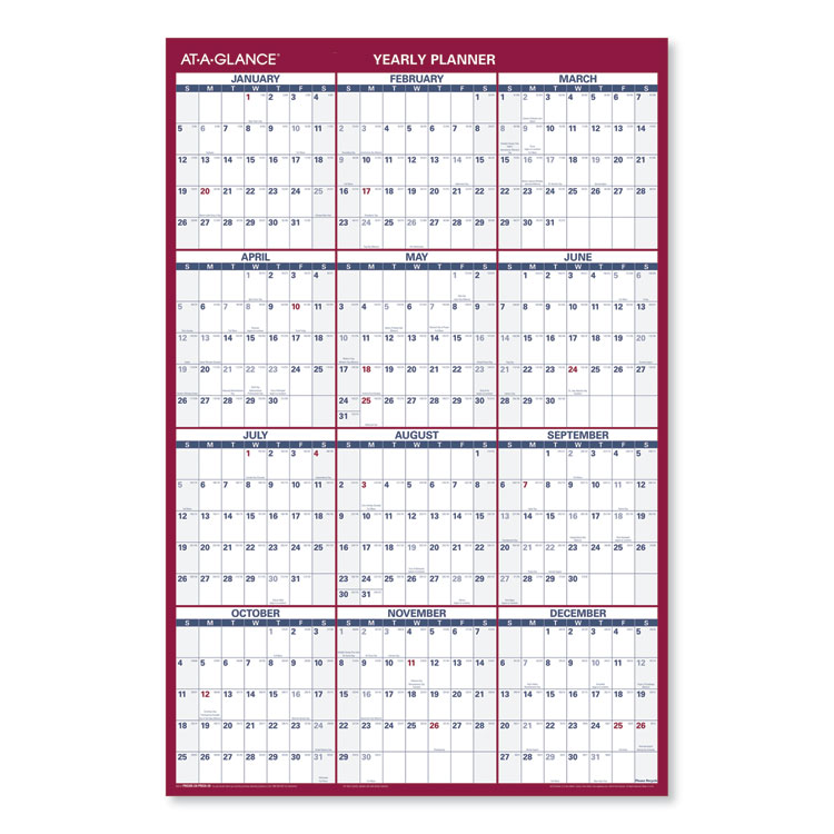 Erasable Vertical/Horizontal Wall Planner, 24 x 36, Blue/Red, 2020