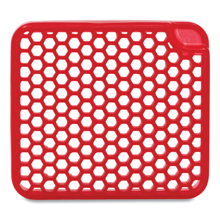 OURFRESH AIRFRESHENER, KIWI GRAPEFRUIT, 48/CARTON