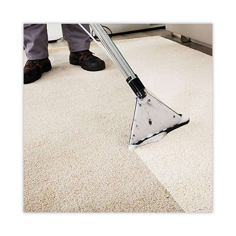1041398 Carpet Extraction Cleaner