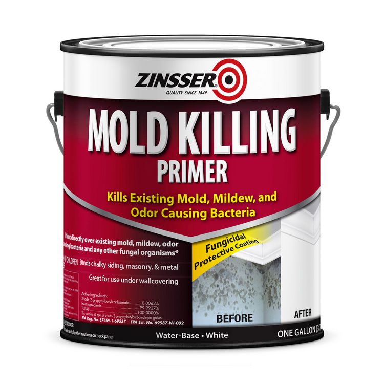 Zinsser Mold Killing Primer