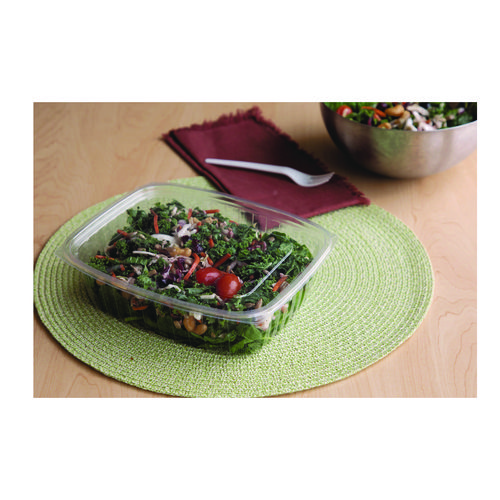 Picture of Renewable and Compostable Rectangular Deli Containers, 48 oz, 8 x 6 x 2, Clear, Plastic, 50/Pack, 4 Packs/Carton