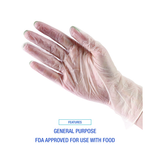 Picture of General Purpose Vinyl Gloves, Powder/Latex-Free, 2.6 mil, Large, Clear, 100/Box