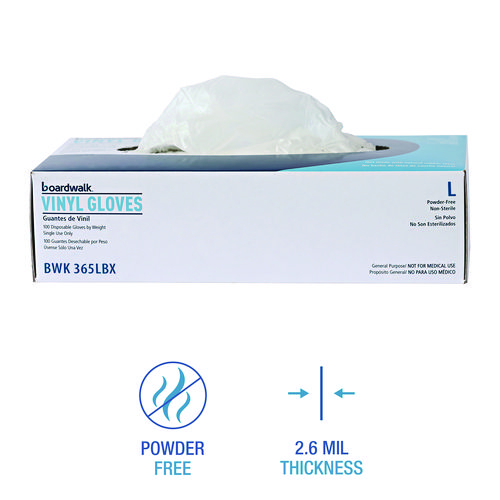 Picture of General Purpose Vinyl Gloves, Powder/Latex-Free, 2.6 mil, Large, Clear, 100/Box, 10 Boxes/Carton