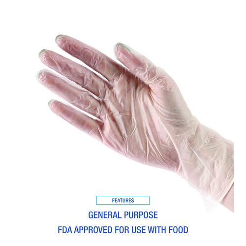 Picture of General Purpose Vinyl Gloves, Powder/Latex-Free, 2.6 mil, Large, Clear, 100/Box, 10 Boxes/Carton