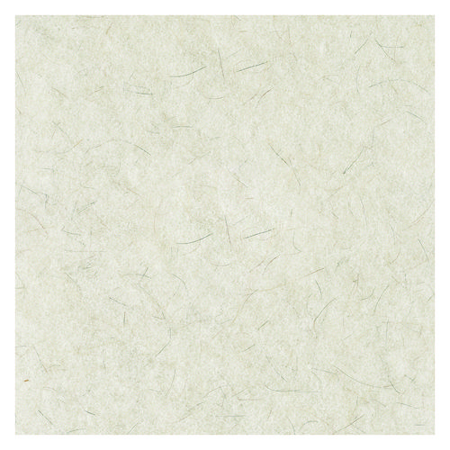 Picture of Natural Burnishing Floor Pads, 17" Diameter, White, 5/Carton