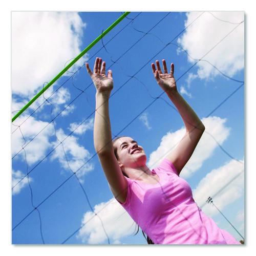 Picture of Deluxe Volleyball Set, Official-Size Volleyball, Volleyball Net