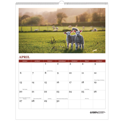 Picture of 100% Recycled Farm Life Wall Calendar, 11 x 14, White/Multicolor Sheets, 12-Month (Jan-Dec): 2025