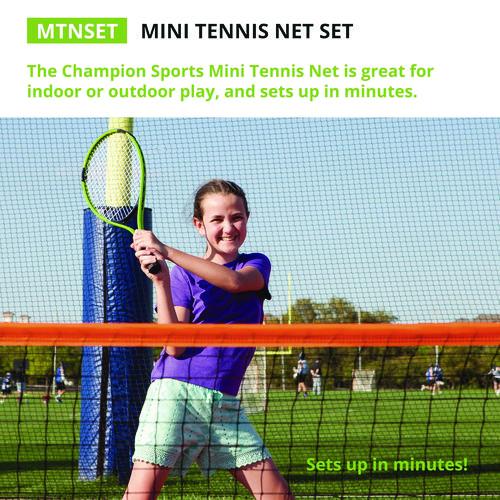 Picture of Mini Tennis Net Set, 2.8 ft x 10 ft