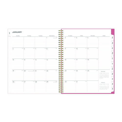 Picture of Fly By Frosted Weekly/Monthly Planner, Butterflies Artwork, 11 x 8.5, Blush/Pink Cover, 12-Month (Jan to Dec): 2025