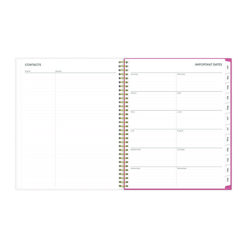 Picture of Fly By Frosted Weekly/Monthly Planner, Butterflies Artwork, 11 x 8.5, Blush/Pink Cover, 12-Month (Jan to Dec): 2025