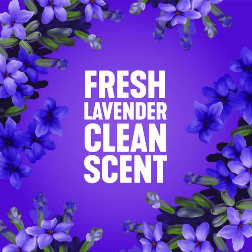 Picture of All Purpose Cleaner, Lemon Fresh, 144 oz Bottle