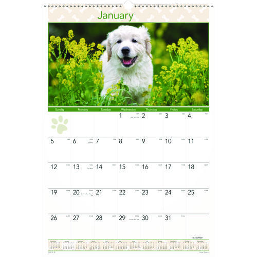 Puppies+Monthly+Wall+Calendar%2C+Puppies+Photography%2C+15.5+x+22.75%2C+White%2FMulticolor+Sheets%2C+12-Month+%28Jan+to+Dec%29%3A+2025