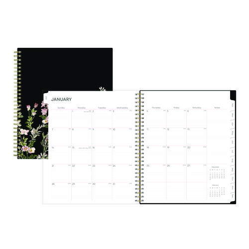 Picture of Nevaeh Monthly Planner, Floral Artwork, 10 x 8, Black/Multicolor Cover, 12-Month (Jan to Dec): 2025