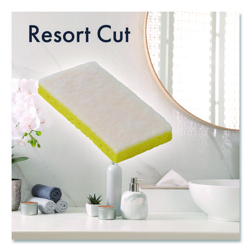 Picture of Resort Cut Scrub Sponge, Light Duty, 6.25 x 3.18, White/Yellow, 40/Carton