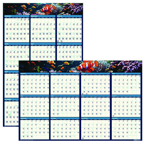 Picture of Earthscapes Recycled Reversible/Erasable Yearly Wall Calendar, Sea Life Photos, 24 x 37, White Sheets, 12-Month(Jan-Dec):2025