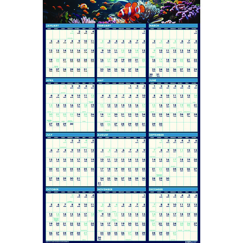 Picture of Earthscapes Recycled Reversible/Erasable Yearly Wall Calendar, Sea Life Photos, 24 x 37, White Sheets, 12-Month(Jan-Dec):2025