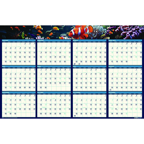 Picture of Earthscapes Recycled Reversible/Erasable Yearly Wall Calendar, Sea Life Photos, 24 x 37, White Sheets, 12-Month(Jan-Dec):2025