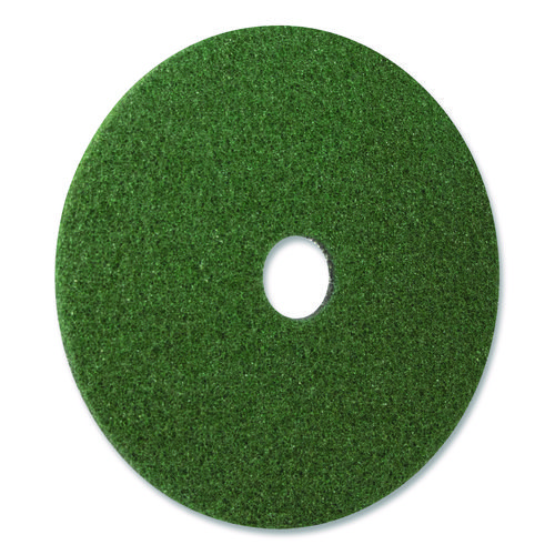 Picture of Black Diamond 3000 Grit Diamond Pad, 20" Diameter, Black/Green, 2/Carton